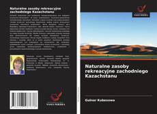 Buchcover von Naturalne zasoby rekreacyjne zachodniego Kazachstanu
