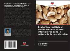 Bookcover of Évaluation variétale et études sur les cultures intercalaires dans la culture de la noix de cajou