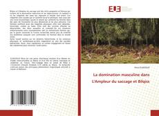 La domination masculine dans L'Ampleur du saccage et Bilqiss kitap kapağı