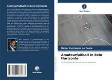 Capa do livro de Amateurfußball in Belo Horizonte 