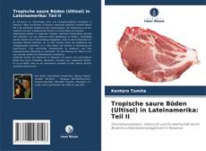 Capa do livro de Tropische saure Böden (Ultisol) in Lateinamerika: Teil II 