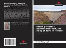 Borítókép a  Erosion processes, sediment transport, and silting of dams in Morocco - hoz