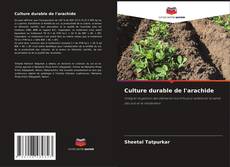 Buchcover von Culture durable de l'arachide