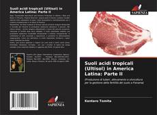 Suoli acidi tropicali (Ultisol) in America Latina: Parte II的封面
