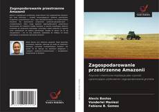 Couverture de Zagospodarowanie przestrzenne Amazonii