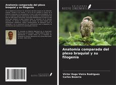 Borítókép a  Anatomía comparada del plexo braquial y su filogenia - hoz