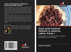 Suoli acidi tropicali (Ultisol) in America Latina: Parte I的封面