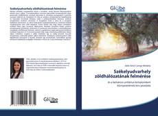 Buchcover von Székelyudvarhely zöldhálózatának felmérése
