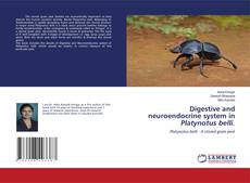 Digestive and neuroendocrine system in Platynotus belli.的封面