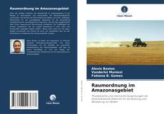 Bookcover of Raumordnung im Amazonasgebiet
