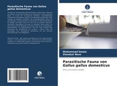 Bookcover of Parasitische Fauna von Gallus gallus domesticus