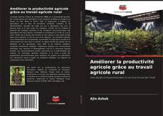 Améliorer la productivité agricole grâce au travail agricole rural的封面