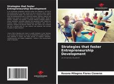 Strategies that foster Entrepreneurship Development的封面