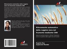 Borítókép a  Rilevamento automatico della ruggine nera nel frumento mediante CNN - hoz
