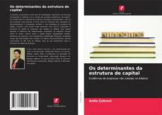 Couverture de Os determinantes da estrutura de capital