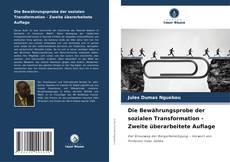 Bookcover of Die Bewährungsprobe der sozialen Transformation - Zweite überarbeitete Auflage