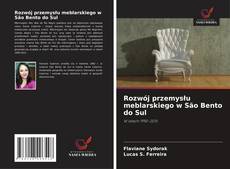 Rozwój przemysłu meblarskiego w São Bento do Sul的封面