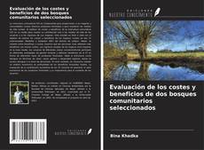 Couverture de Evaluación de los costes y beneficios de dos bosques comunitarios seleccionados