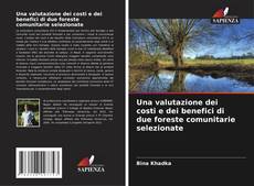 Una valutazione dei costi e dei benefici di due foreste comunitarie selezionate的封面