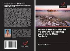 Zdrowie drzewa Shisham w północno-wschodniej części stanu Uttar Pradesh的封面