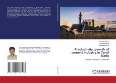 Productivity growth of cement industry in Tamil Nadu的封面