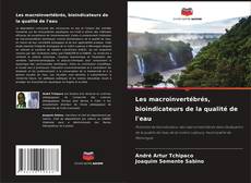 Borítókép a  Les macroinvertébrés, bioindicateurs de la qualité de l'eau - hoz