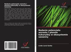 Copertina di Badanie potencjału wzrostu i plonów kukurydzy w ekosystemie sawanny