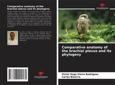 Borítókép a  Comparative anatomy of the brachial plexus and its phylogeny - hoz