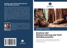 Bookcover of Analyse der Holzzerstörung bei fünf Waldbaumarten