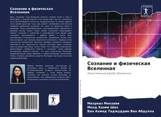 Buchcover von Сознание и физическая Вселенная