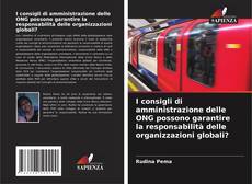 I consigli di amministrazione delle ONG possono garantire la responsabilità delle organizzazioni globali?的封面