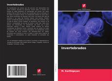 Invertebrados的封面