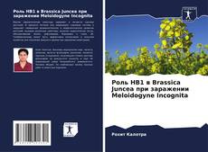 Couverture de Роль HB1 в Brassica Juncea при заражении Meloidogyne Incognita