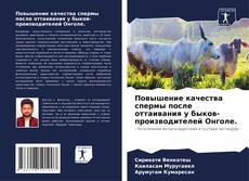 Bookcover of Повышение качества спермы после оттаивания у быков-производителей Онголе.