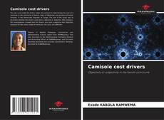 Bookcover of Camisole cost drivers