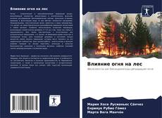 Couverture de Влияние огня на лес