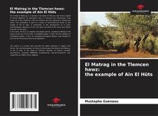 El Matrag in the Tlemcen hawz: the example of Ain El Hûts的封面