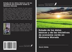 Buchcover von Estado de los datos básicos y de las iniciativas de economía verde en Welmera Woreda