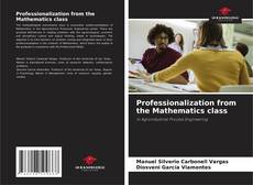 Buchcover von Professionalization from the Mathematics class