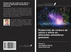 Capa do livro de Producción de carburo de silicio y silicio en diferentes atmósferas gaseosas 