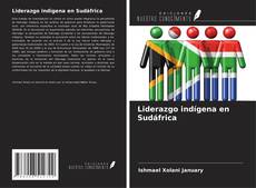 Buchcover von Liderazgo indígena en Sudáfrica
