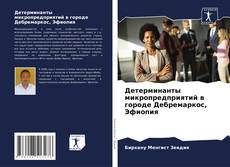 Portada del libro de Детерминанты микропредприятий в городе Дебремаркос, Эфиопия