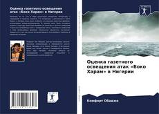Оценка газетного освещения атак «Боко Харам» в Нигерии的封面