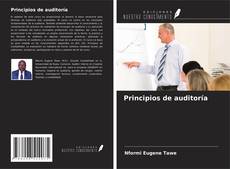 Principios de auditoría kitap kapağı