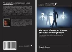 Buchcover von Varones afroamericanos en aulas monogénero