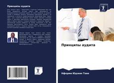 Принципы аудита的封面