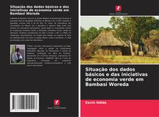 Borítókép a  Situação dos dados básicos e das iniciativas de economia verde em Bambasi Woreda - hoz