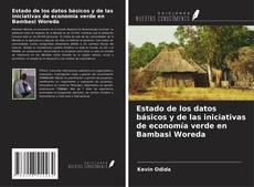 Couverture de Estado de los datos básicos y de las iniciativas de economía verde en Bambasi Woreda