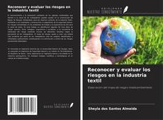 Copertina di Reconocer y evaluar los riesgos en la industria textil