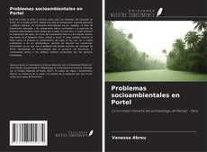 Copertina di Problemas socioambientales en Portel
